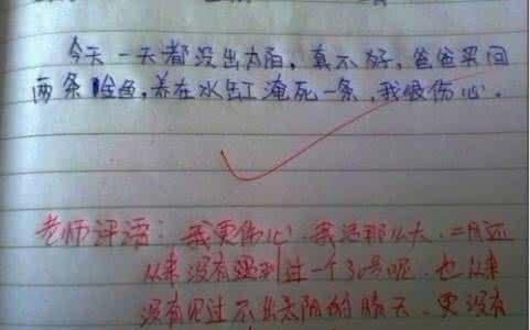 高中第一学期的学生评语