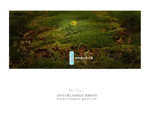 事情不是一句话