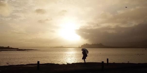 北岛：我们每天早晨都有阳光