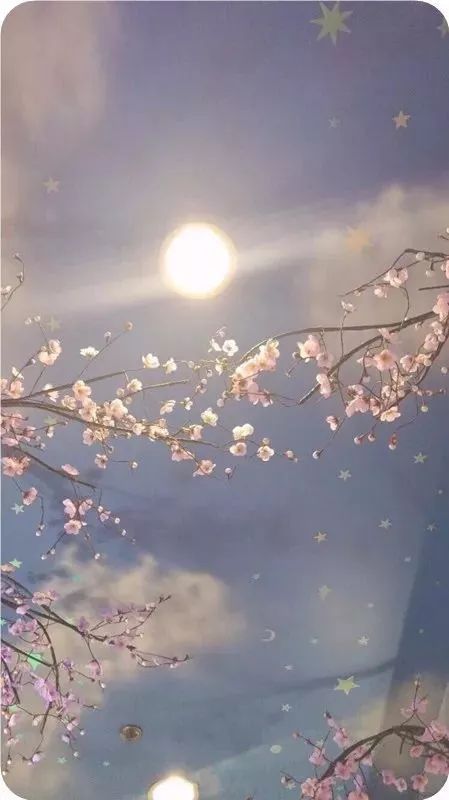 经典语录：人生如火如荼