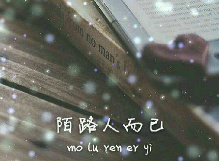 心不见了,陌生人,再也见不到