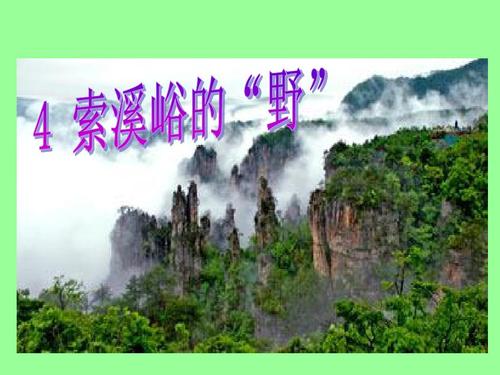 索溪yu野外游的主要内容