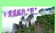 索溪峪的野主要内容