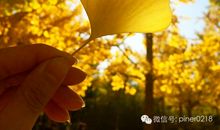 秋天关心人的话