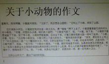 描写小动物作文：我的朋友