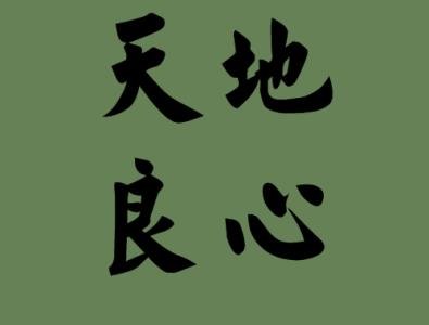 关于天地的成语