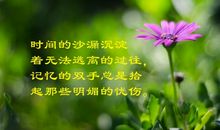 早安心语优美句子大全