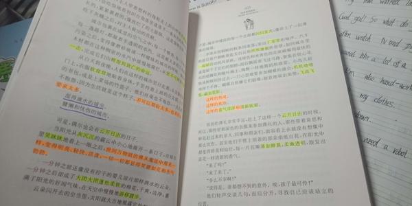 阅读和突破一万篇论文