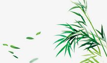 与竹有关的成语