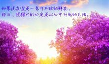 关于花朵的优美句子