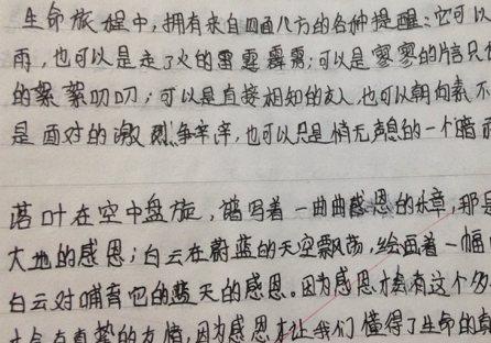 优美短语的欣赏与分析