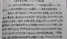 《皮皮鲁》读后感