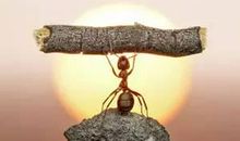 想让自己强大，你就必须放下这10样东西