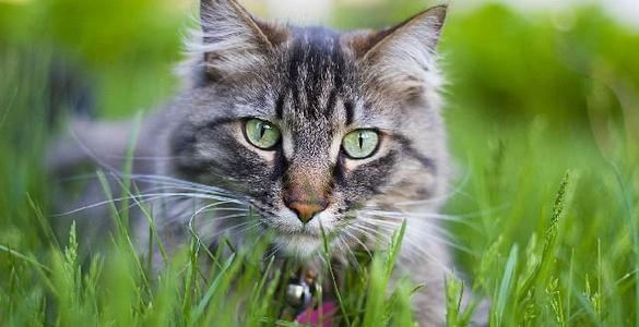 使人顿悟的句子