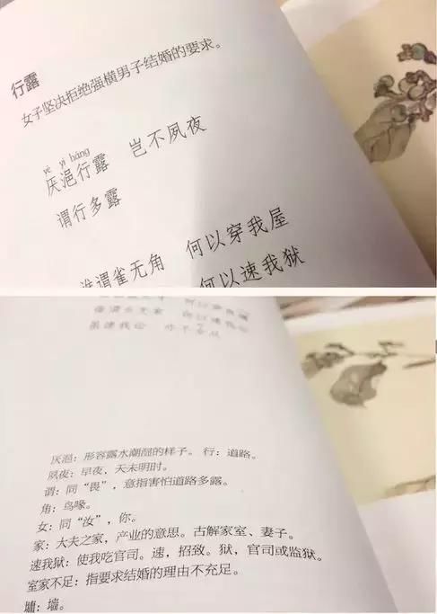 看完《诗经》之后