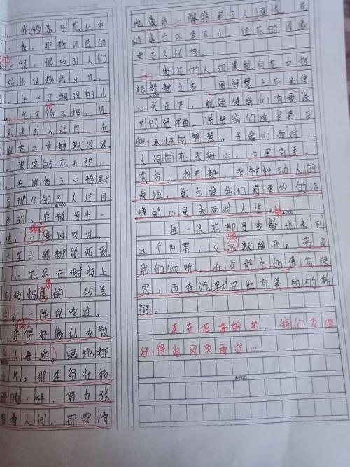 初中作文：在盛开的季节里散步