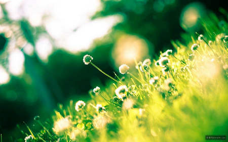 审美和情感短句，情感和审美短句1