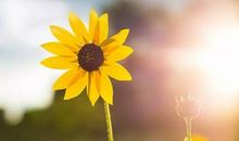 让你受益一生的9件小事