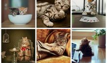 谨以此故事，为你取暖