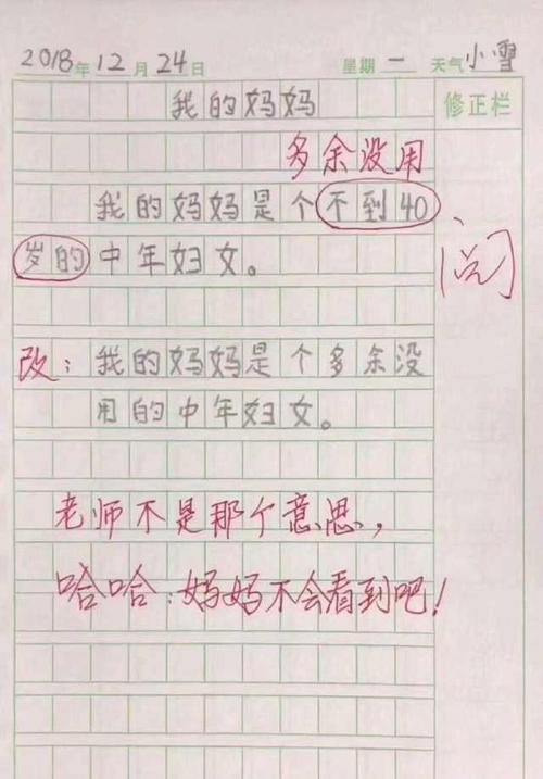小学老师评论