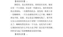 观察作文：我发现了蜘蛛的秘密