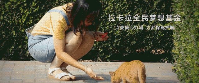 盖茨：我的梦想是实现生活价值的平等