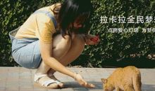 盖茨：我的梦想是实现生命价值平等