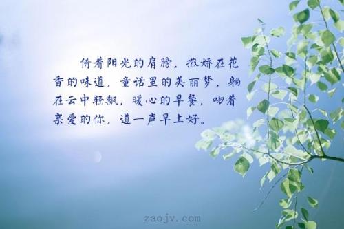 关于青晨的句子