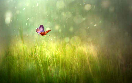 关于审美情感的句子，带有审美情绪的情感句子