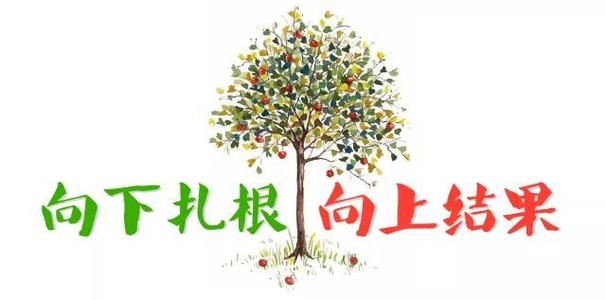 向下生活和向上生活