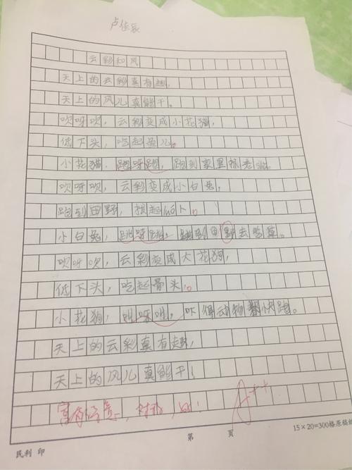 观察组成：观察云