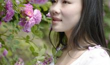 丁立梅：蔷薇几度花