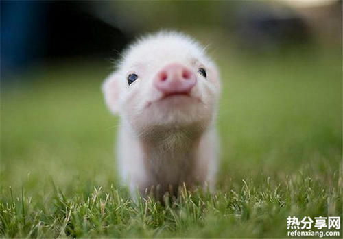 保持心情愉快的11种小方法