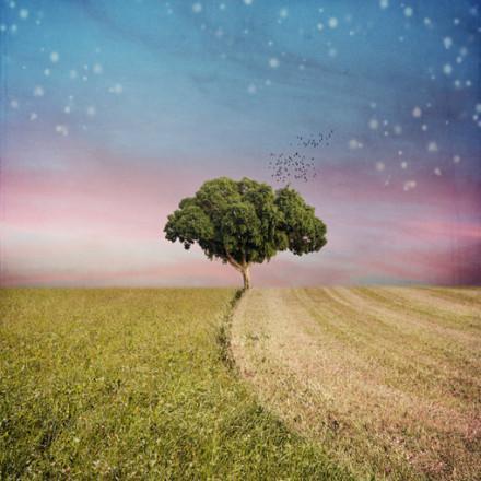 著名的风景名言