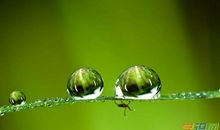 生命感悟的句子