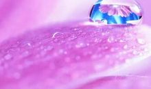 池莉：熬至滴水成珠