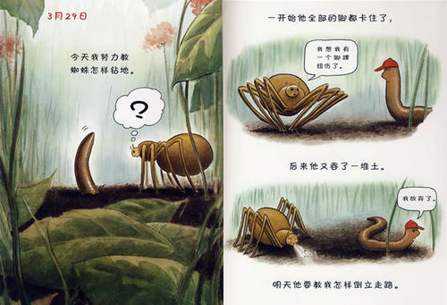 观察组成：我发现了the的秘密