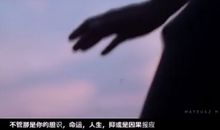 王微：忠于自我的人生导演