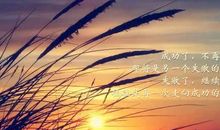 顺其自然的句子