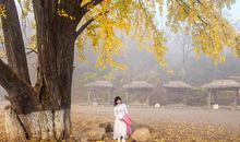 认真拼不过迷恋