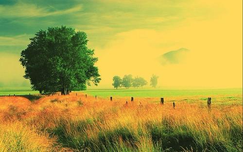 牛根生100励志名言