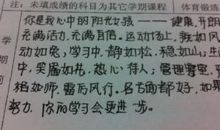 学生评语：高中生学生评语锦集