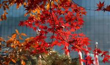 人生，就是一次无法重复的选择