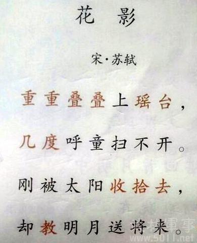 苏Shi写的诗是什么