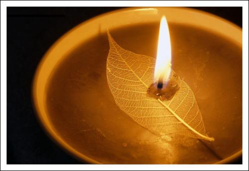 黑暗，生命的灯将熄灭的越少