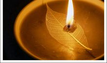 越黑暗，越不熄灭生命的灯盏