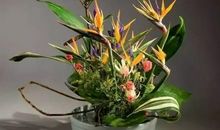 你需要的，哪里是朋友