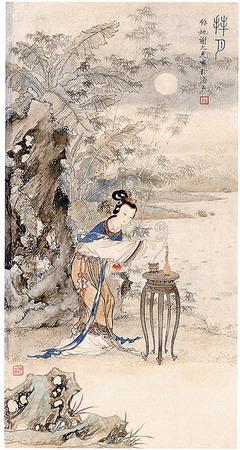 董乔：Tu山鹦鹉的感情