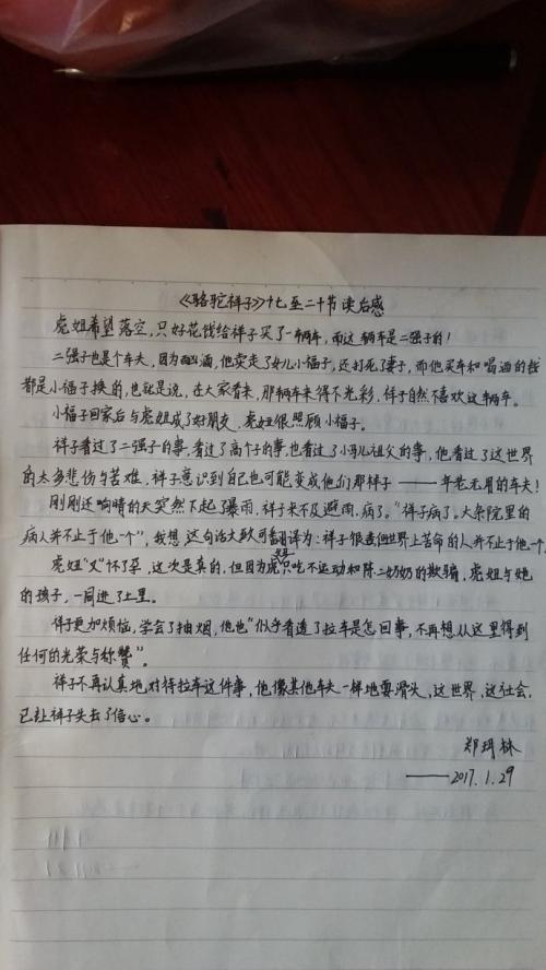 祥子骆驼读5000字后的思想