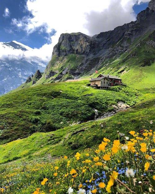 保持一颗和平的心对于成功至关重要